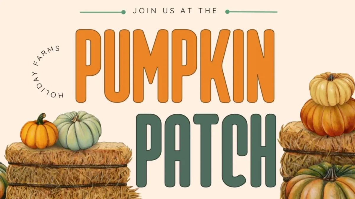 Pumpkin Patch: Holiday Farms