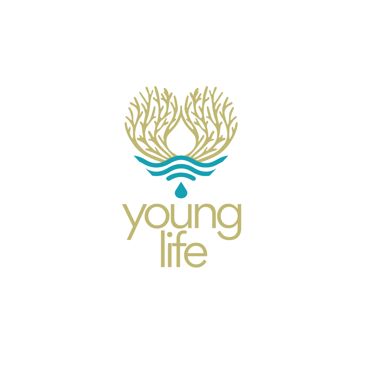 Logo of Young Life featuring a tree and water design with the text 'young life' underneath.