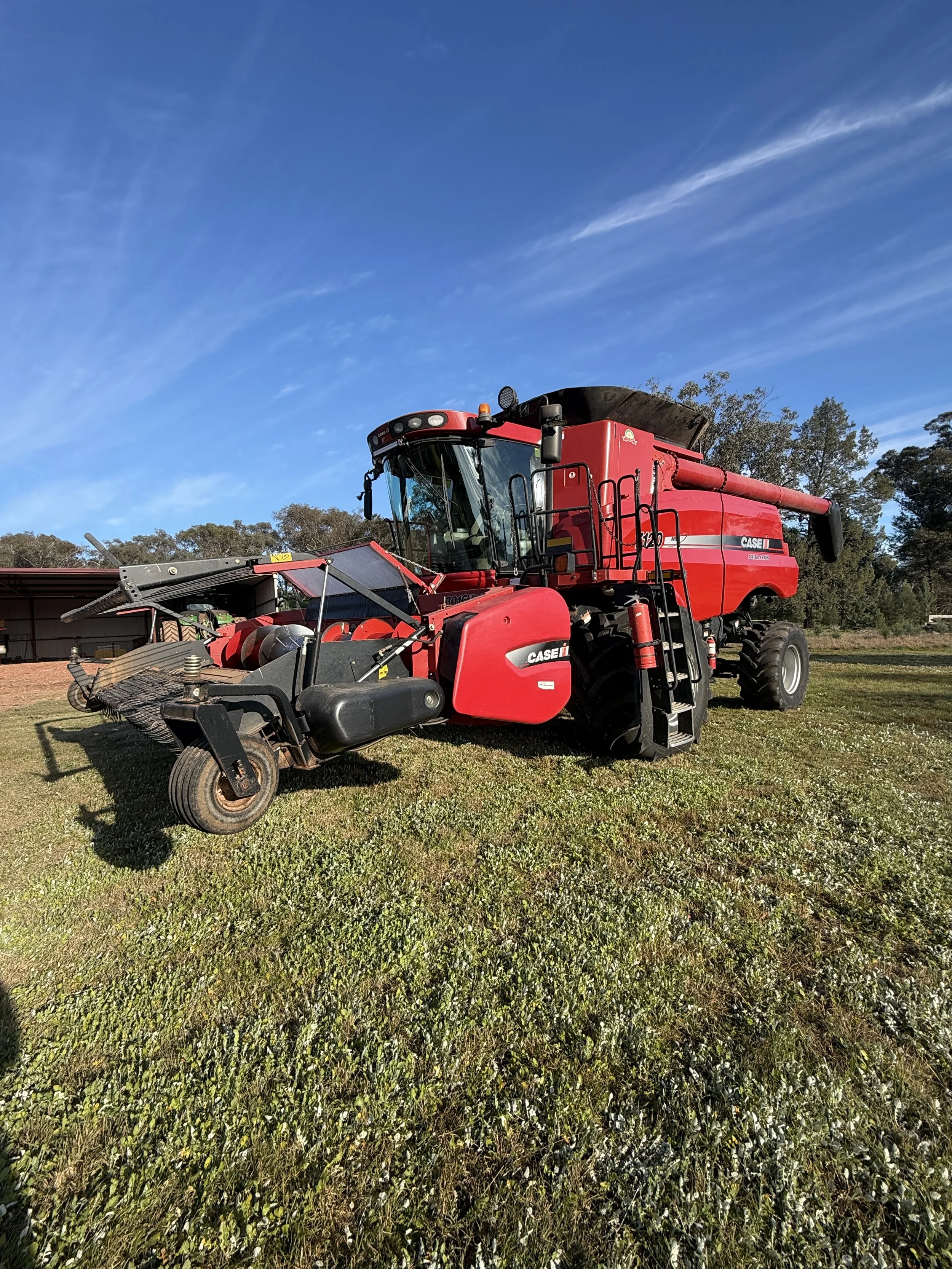 Case 7120 Combine + 2152 40FT Front with Trailer and 3016 Canola Front image 2