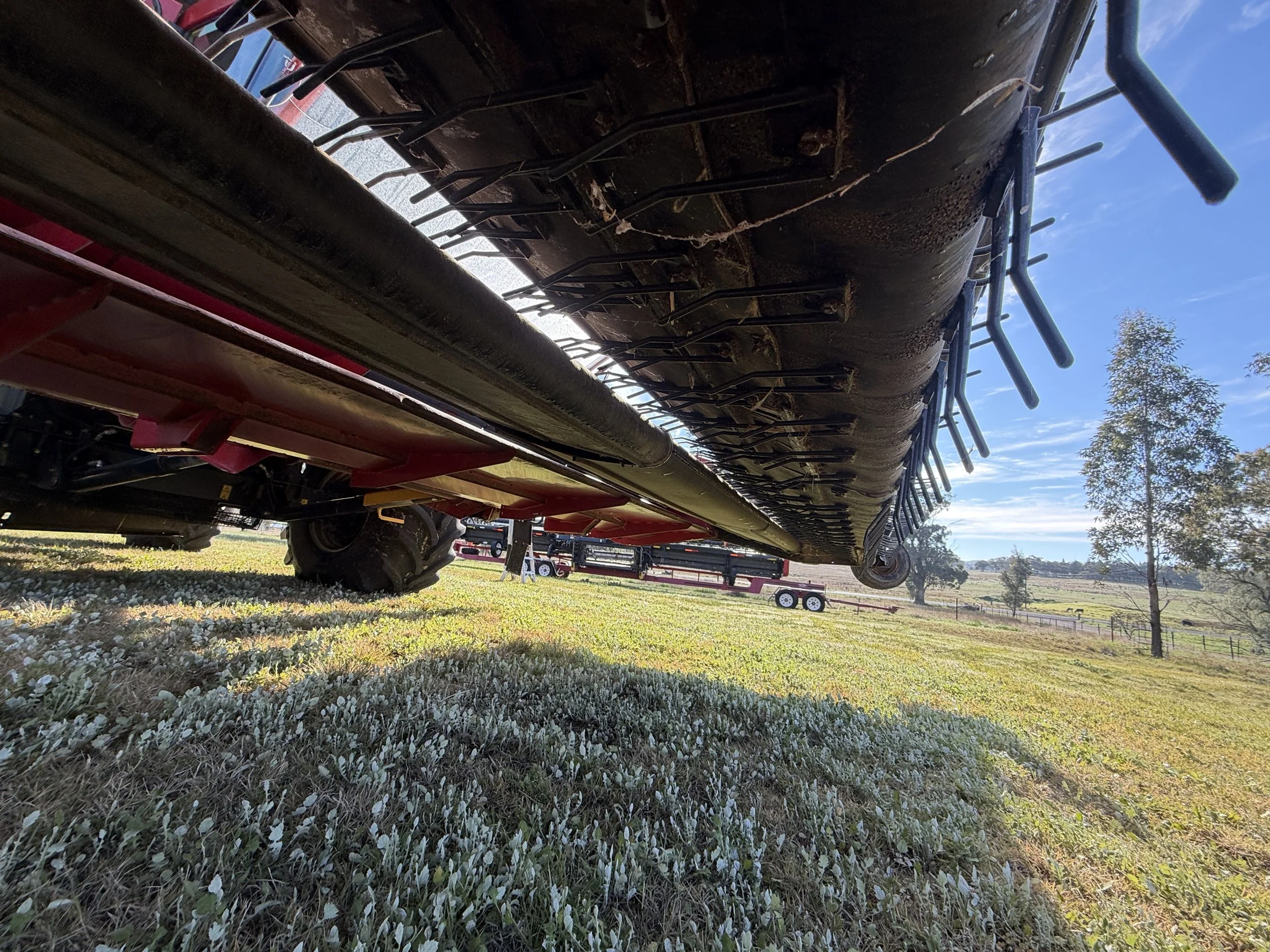 Case 7120 Combine + 2152 40FT Front with Trailer and 3016 Canola Front image 31