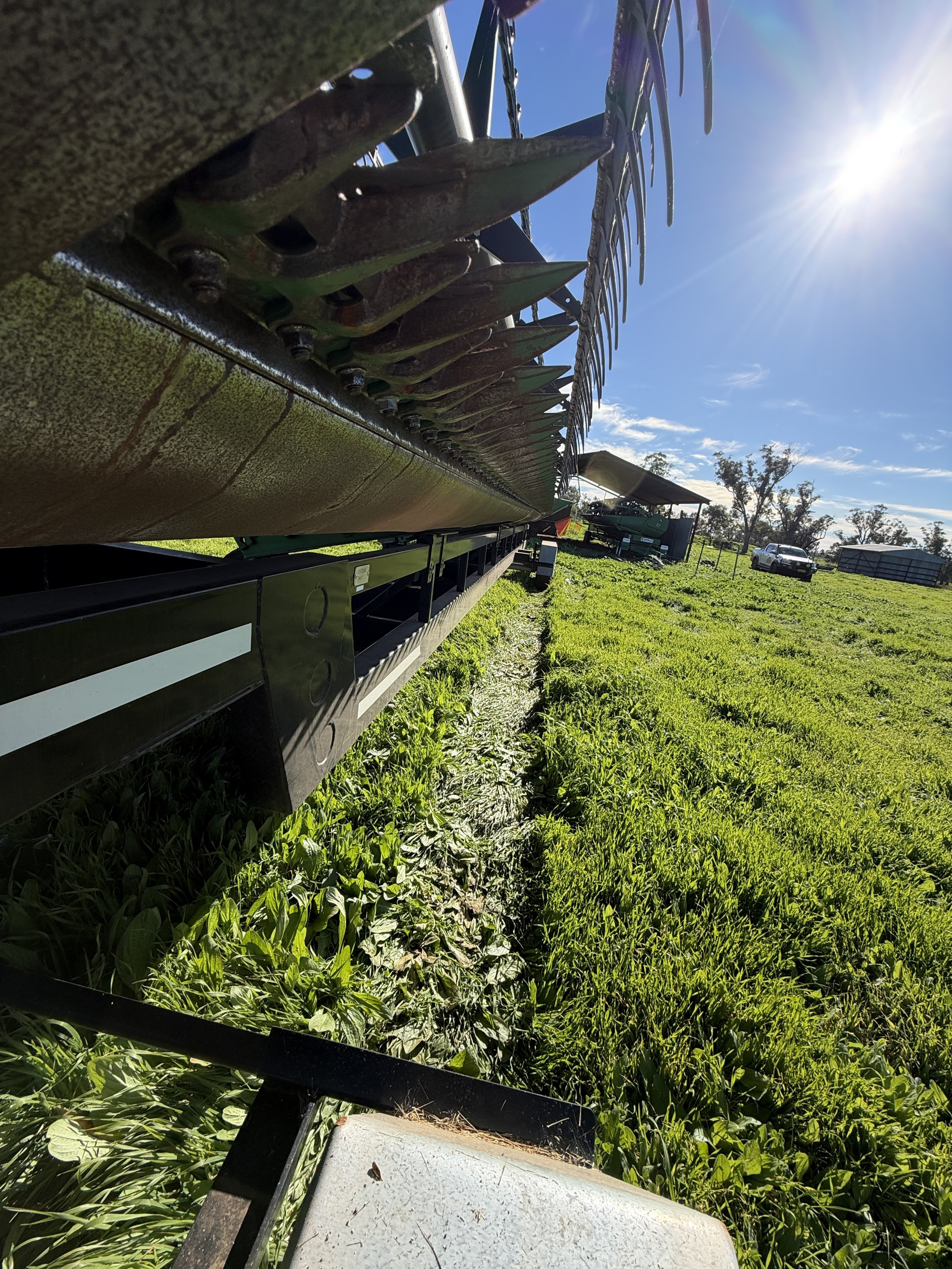 John Deere 640D Front + Trailer image 14