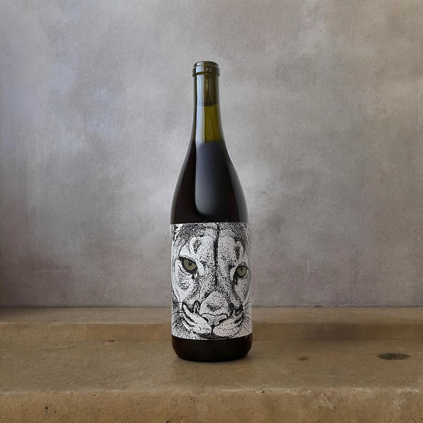 A chillable red? You betcha. Perfect for spring and summer sips. 🍷 This wine lies between a light Pinot and a ros&egrave; ďassette (dark Ros&egrave;).

If in fridge, set out for 10 minutes before enjoying. 

Check out this high altitude Gamay from a