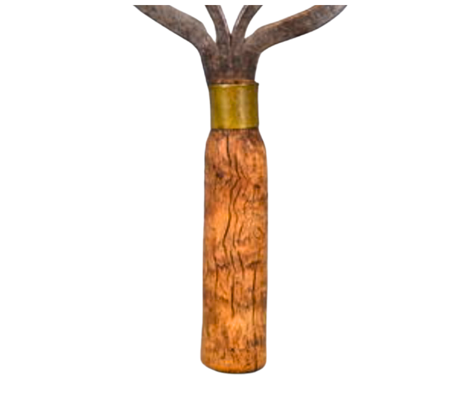 Untitled design-1313.png