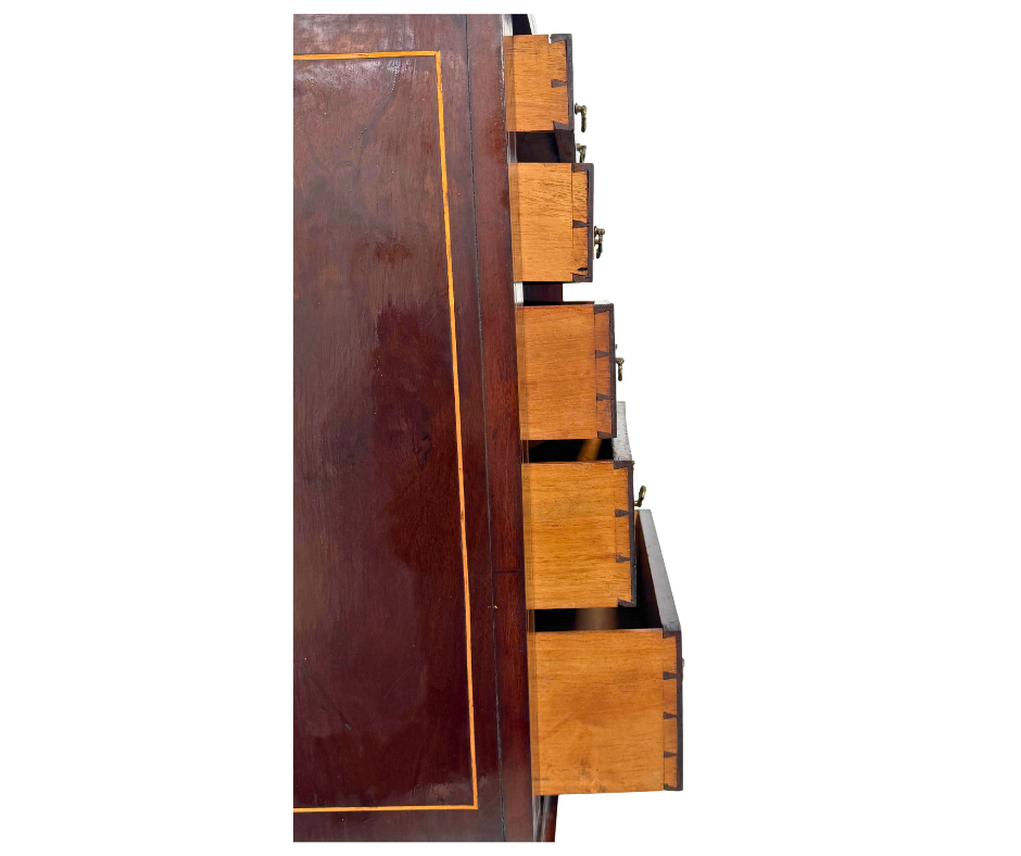 Untitled design-1482.png