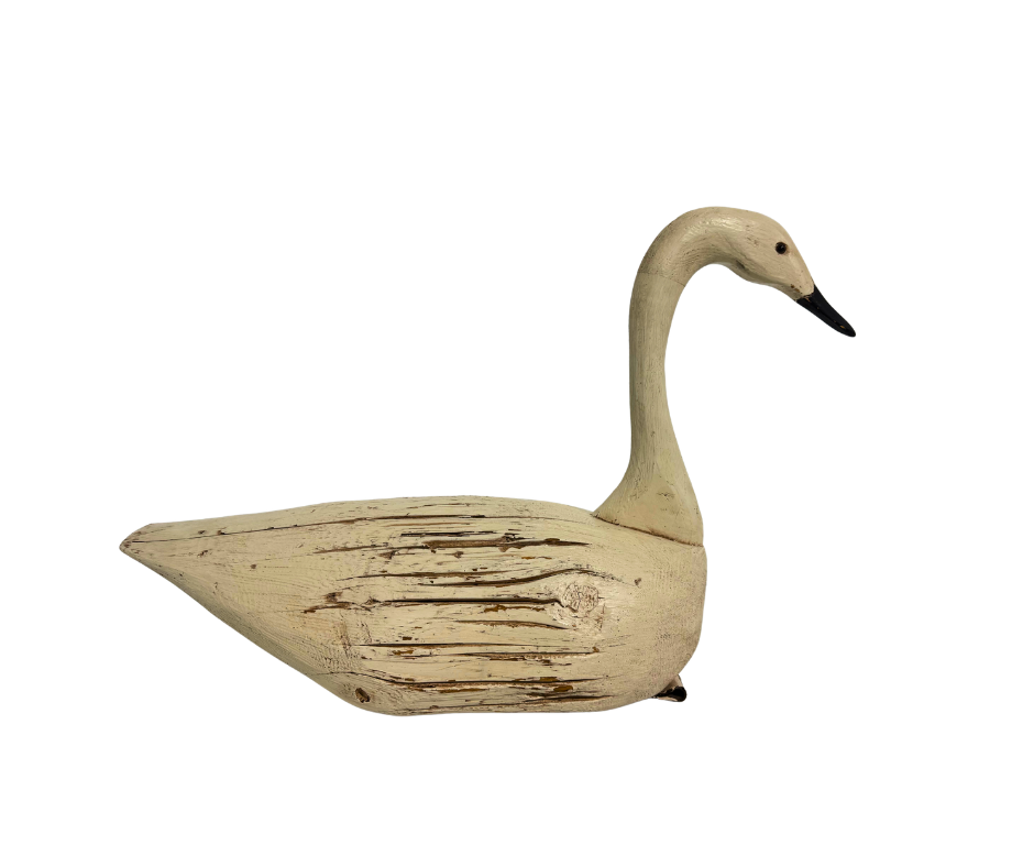 Untitled design-1463.png