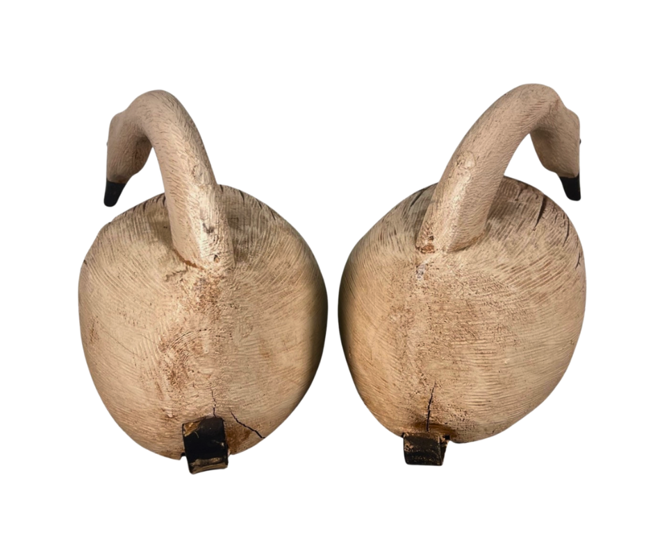 Untitled design-1637.png