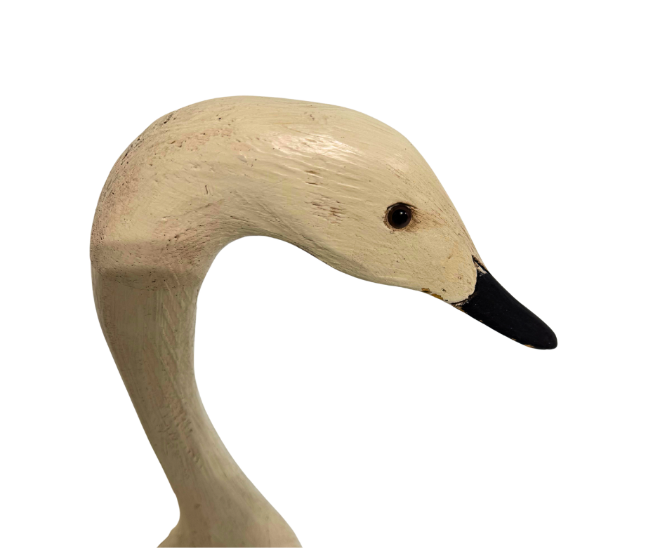 Untitled design-1464.png