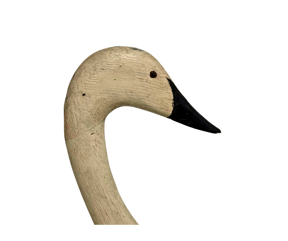 Untitled design-1514.png
