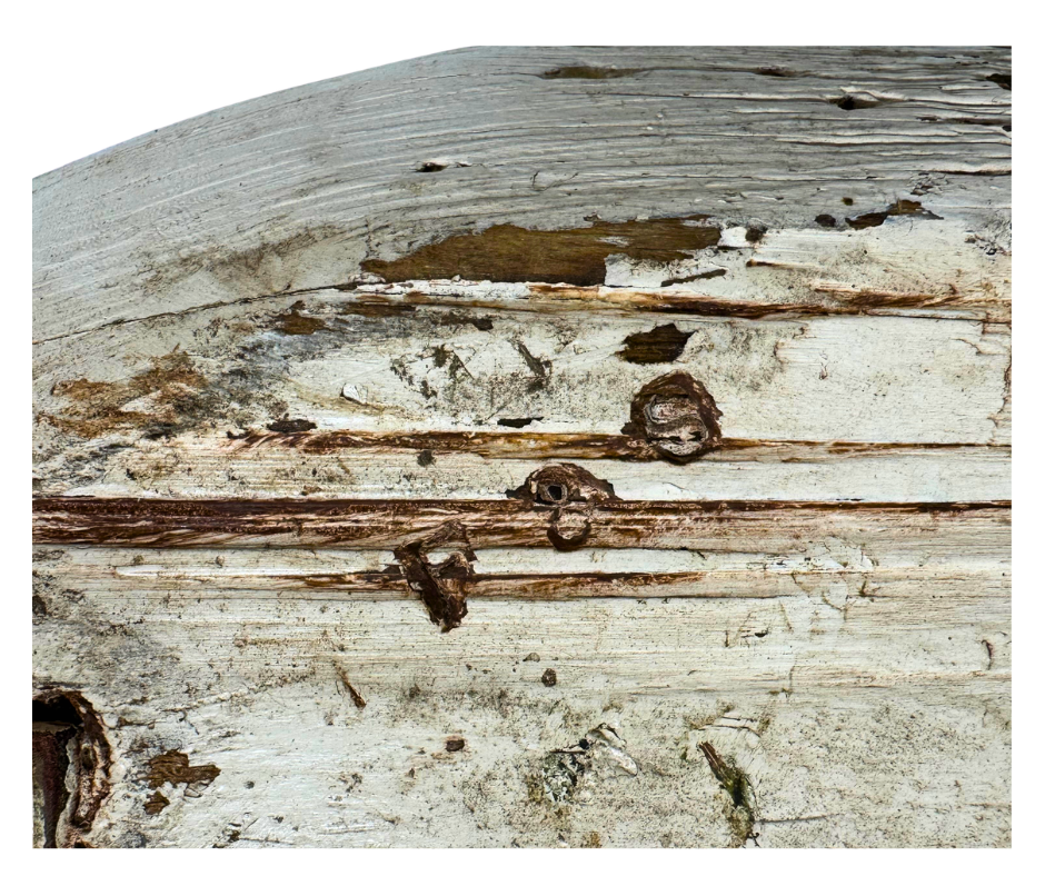 Untitled design-1512.png