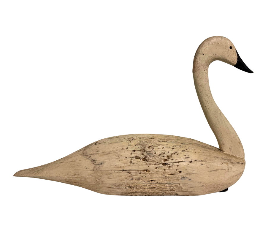 Untitled design-1515.png