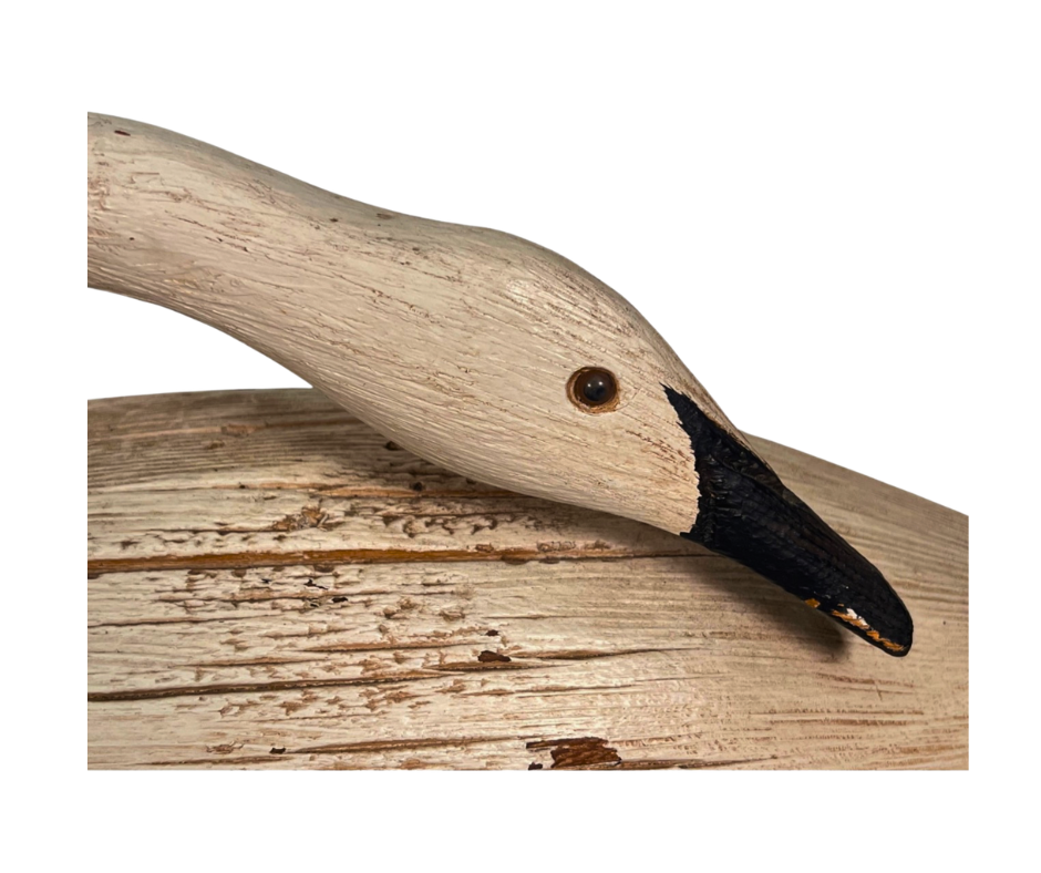 Untitled design-1642.png
