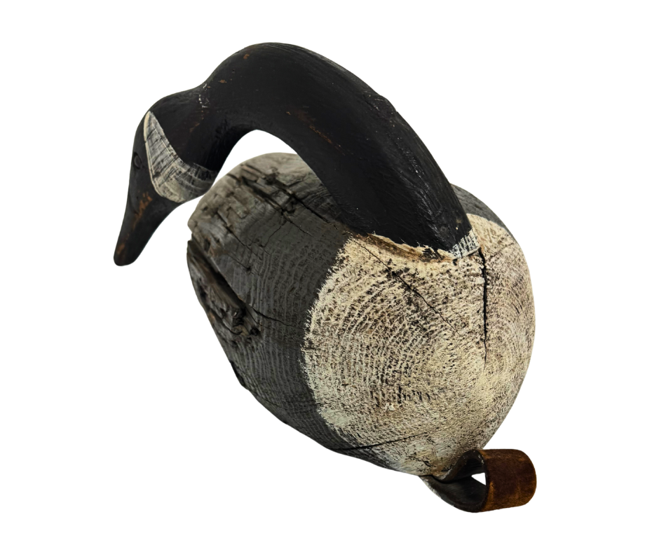 Untitled design-1654.png
