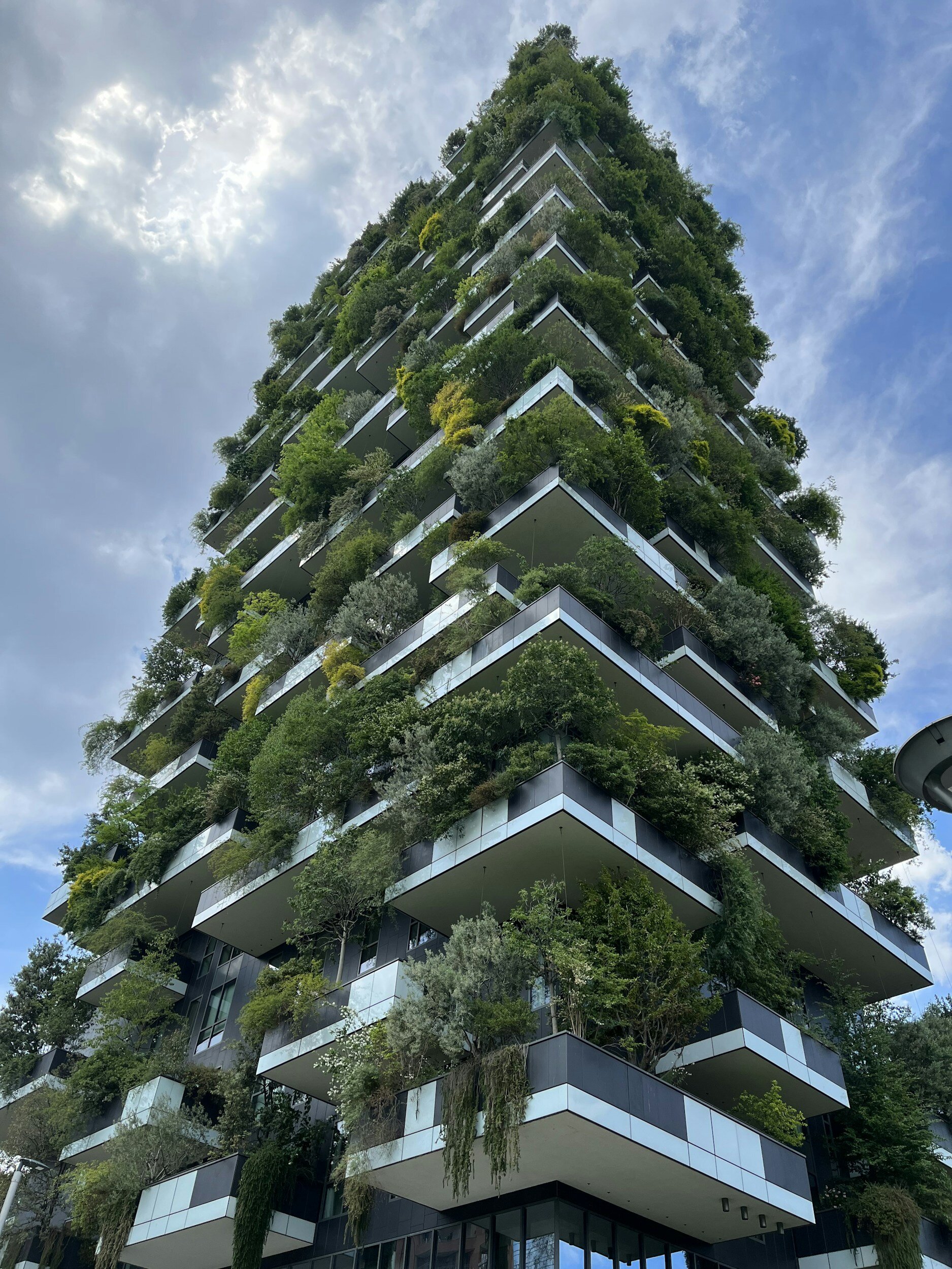 The Rise of Vertical Forests