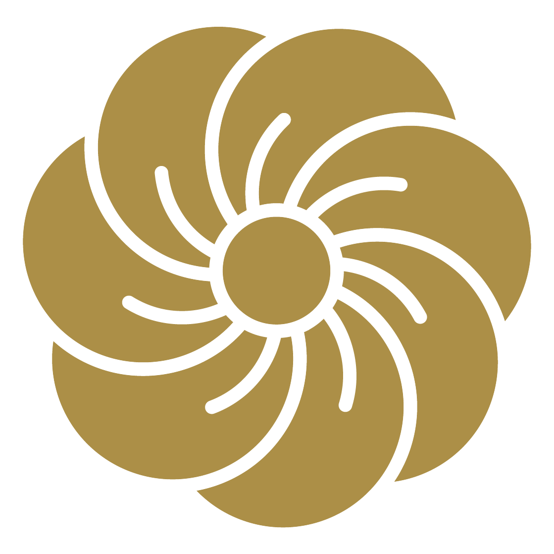 Tenko Aikido