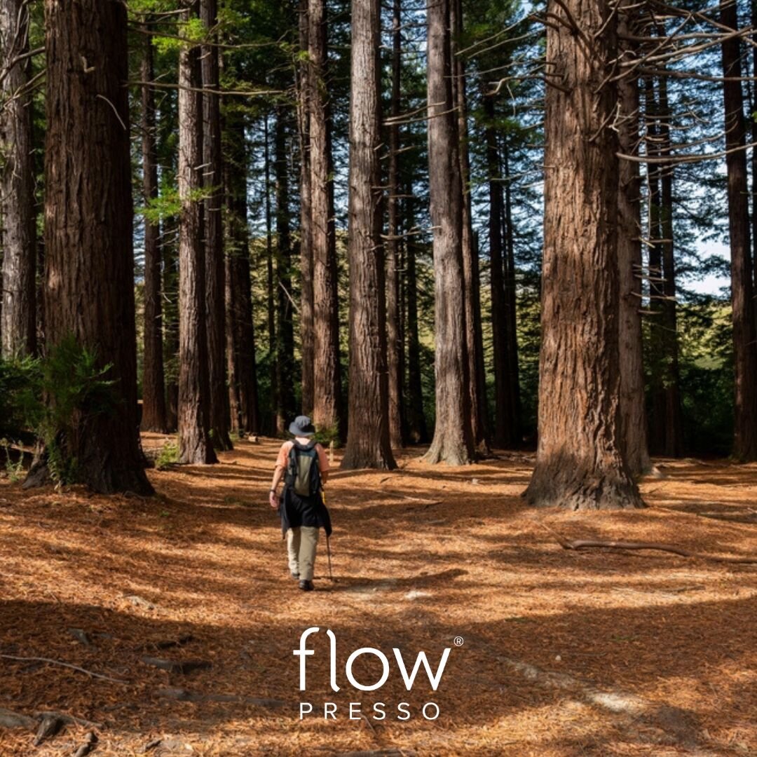 Nature has the ability to generate positive emotions and reduce stress. So when the going gets tough, time spent in nature is NEVER a bad idea 🌳

What does it do for you?

~
#flowpresso #compressiontherapy #deeppressuretherapy #thermotherapy #wellne