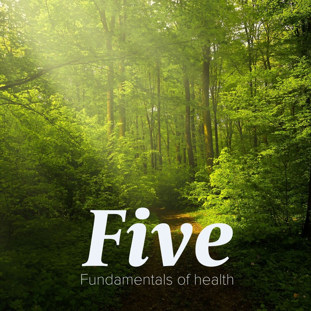Here are our top 5 fundamentals of health. We may not be able to help you with all 5, but you might find if you start with one, the others will improve too.

1. Sleep
2. Movement
3. Nutrition and hydration 
4. Stress management
5. Mindfulness

~
#flo