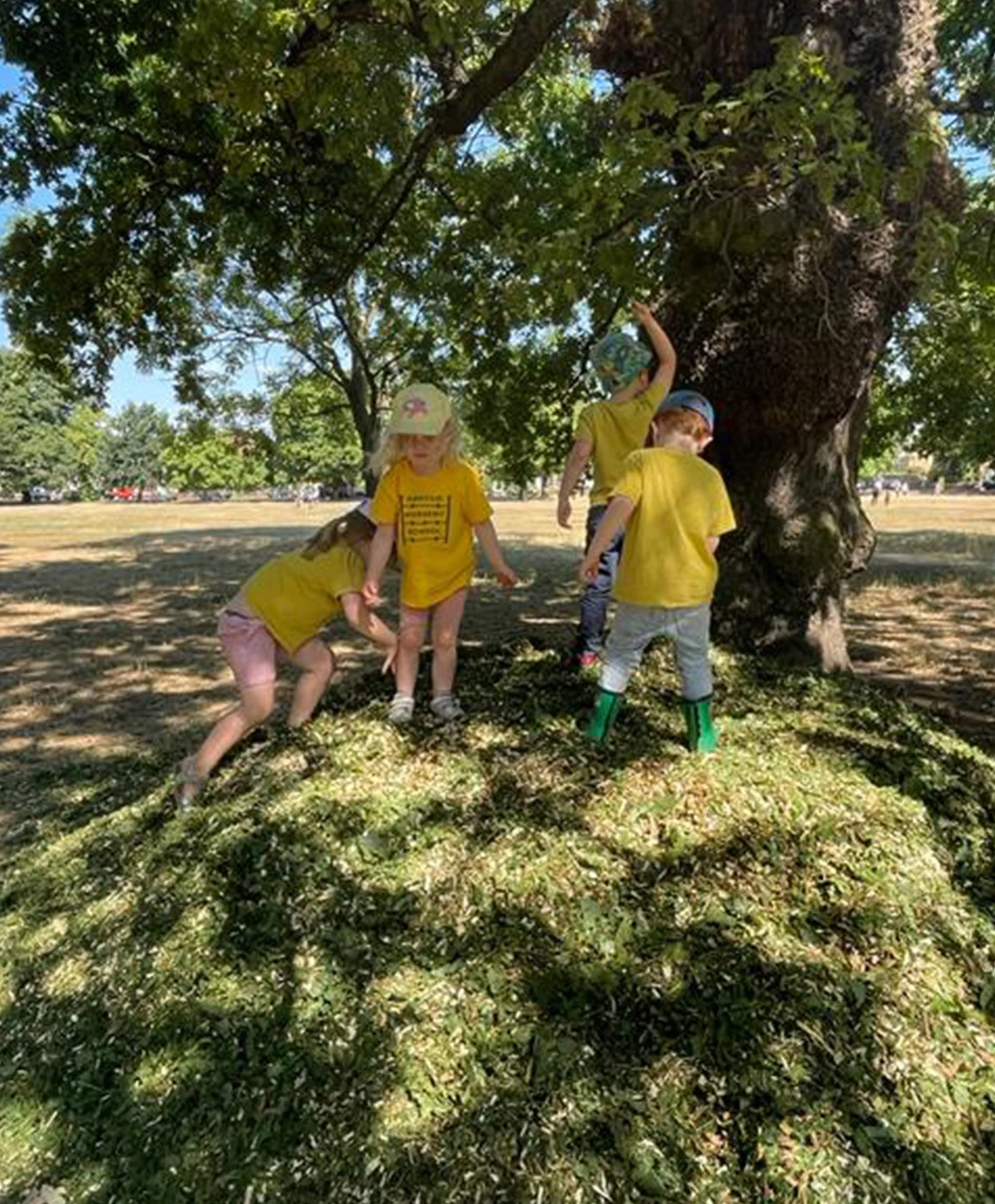 Early years curriculum activities supporting learning through play and exploration.