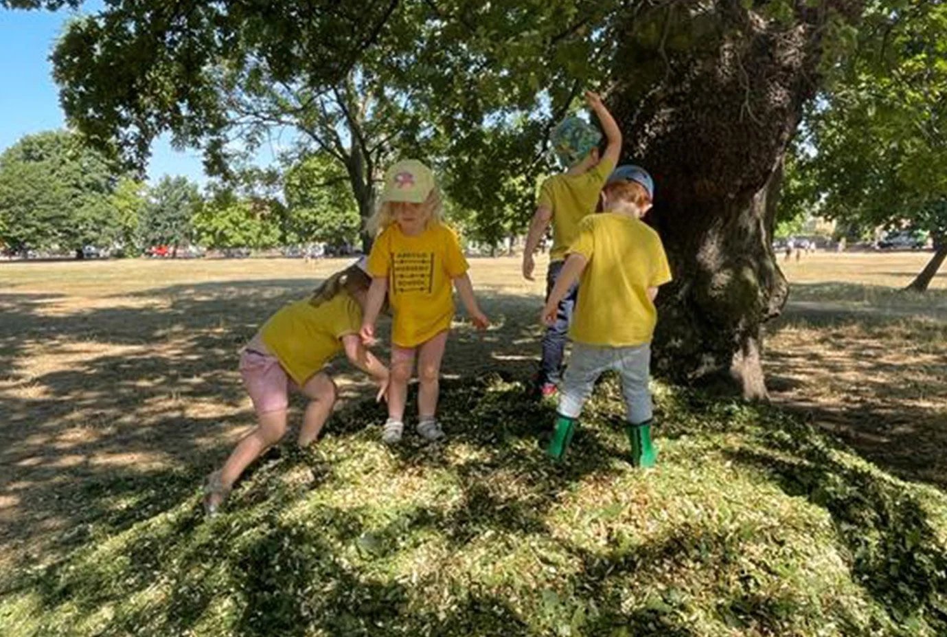 Children playing around a large tree during outdoor nursery activity in a park