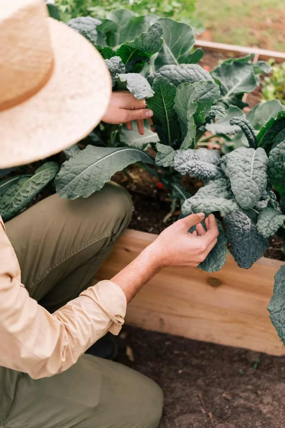 How To Spacial Plan Your Fall Garden