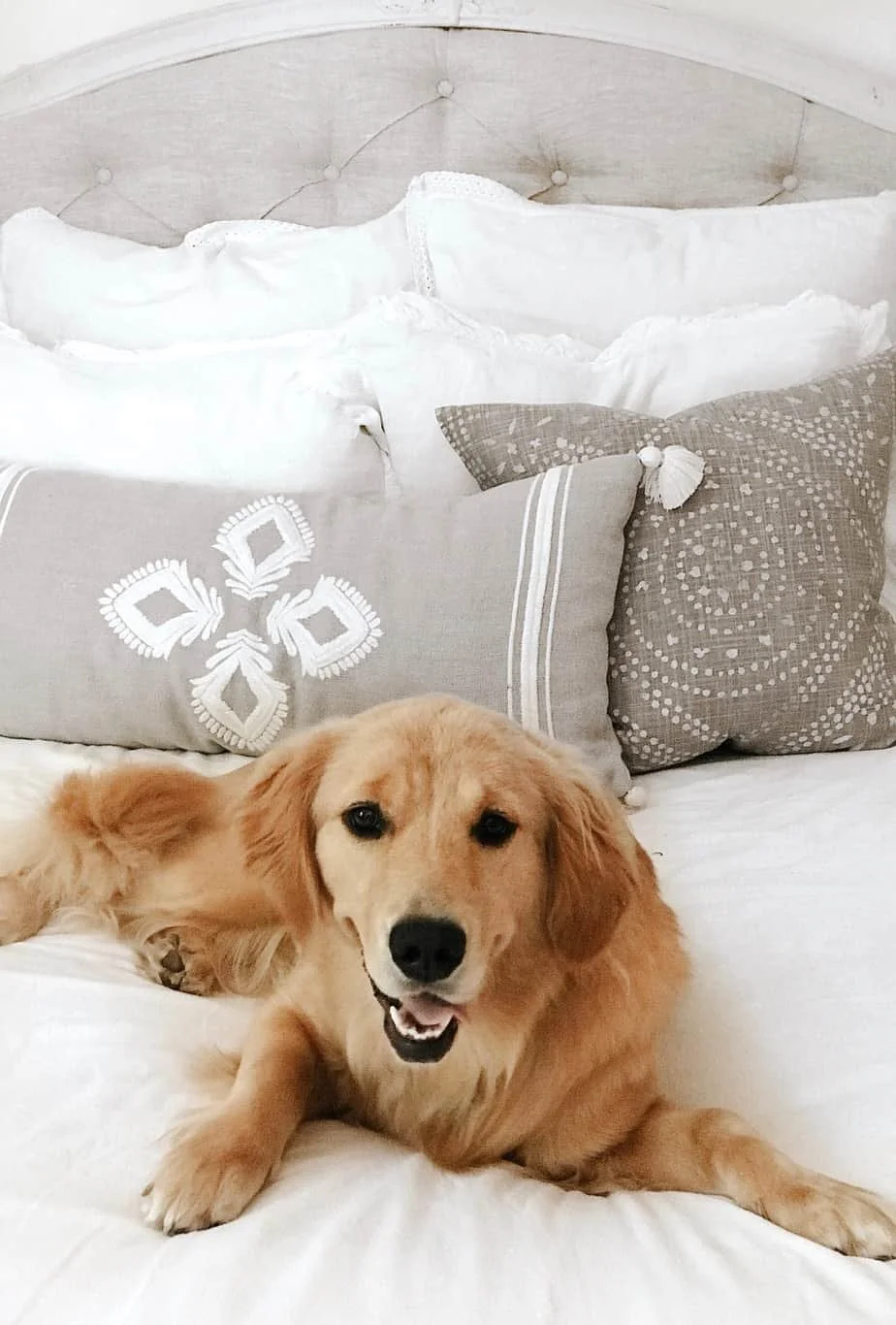 Serena And Lily Friends and Family Sale Picks