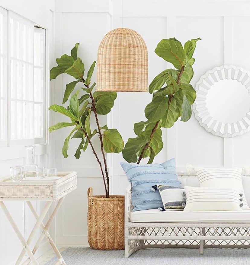 Our Picks for the Serena & Lily Memorial Day Sale