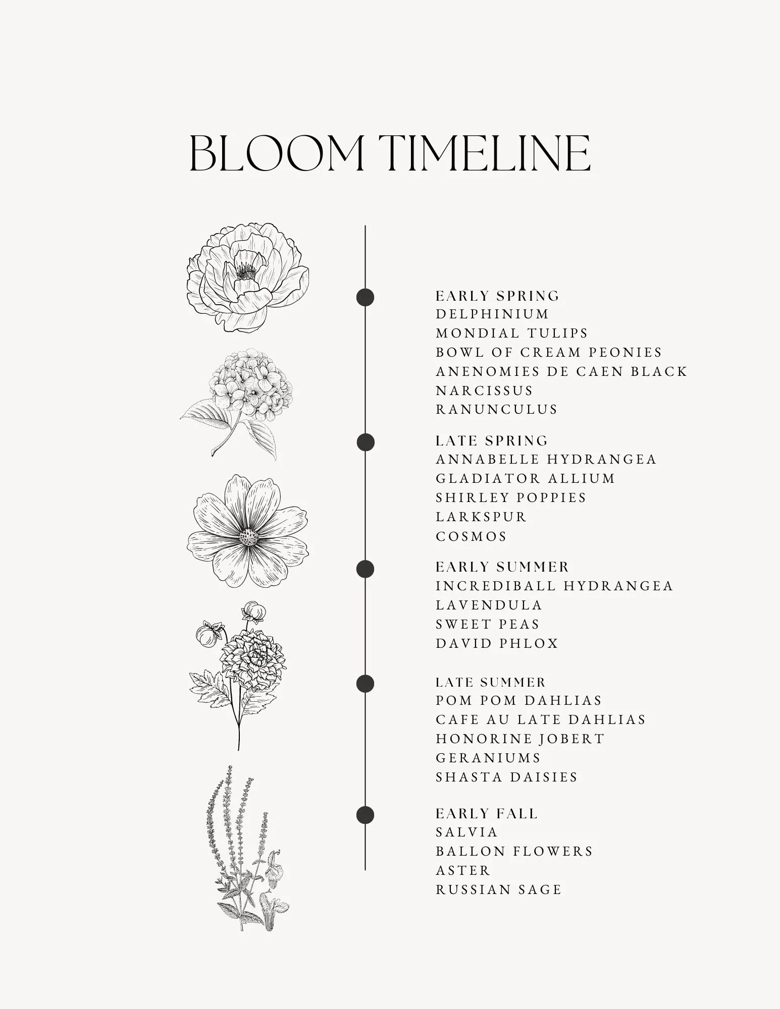 Bloom window.jpg