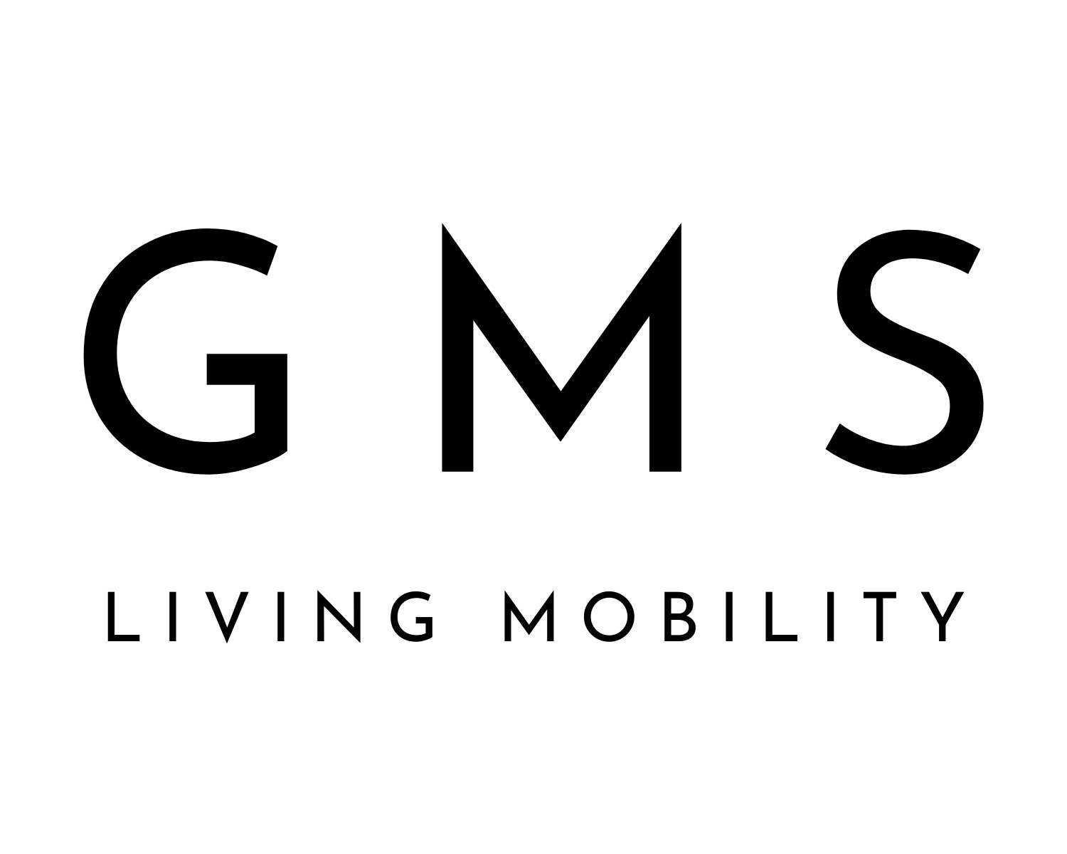 Ginion Mobility Solutions