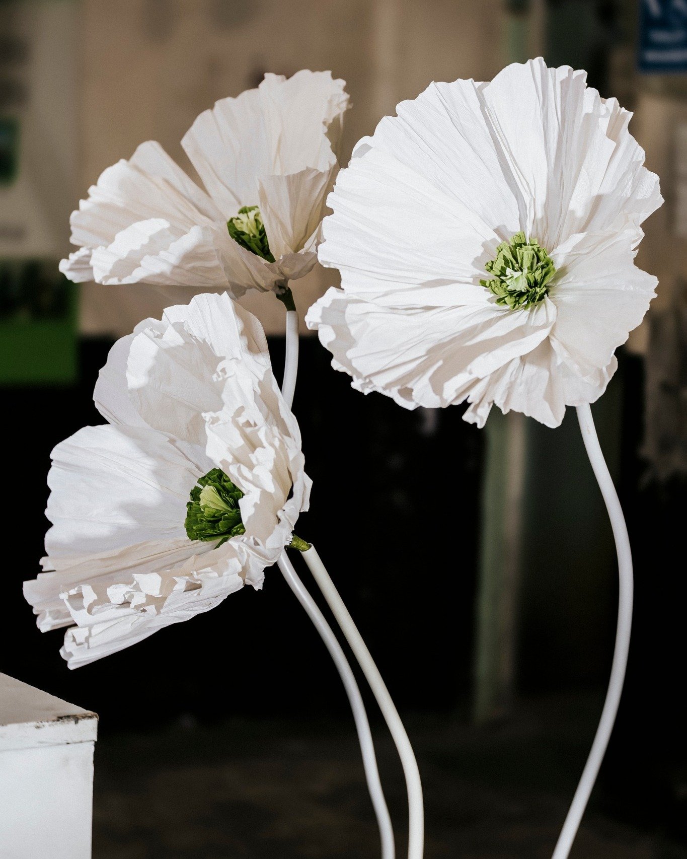 Big flowers. Calm energy.
We love how these instantly elevate a space without overdoing it.

https://www.nichollsandco.com/shop/p/pretty-giant-flowers

Styled @nichollsandco.nz 
Photographed @georgiedaniellphotography