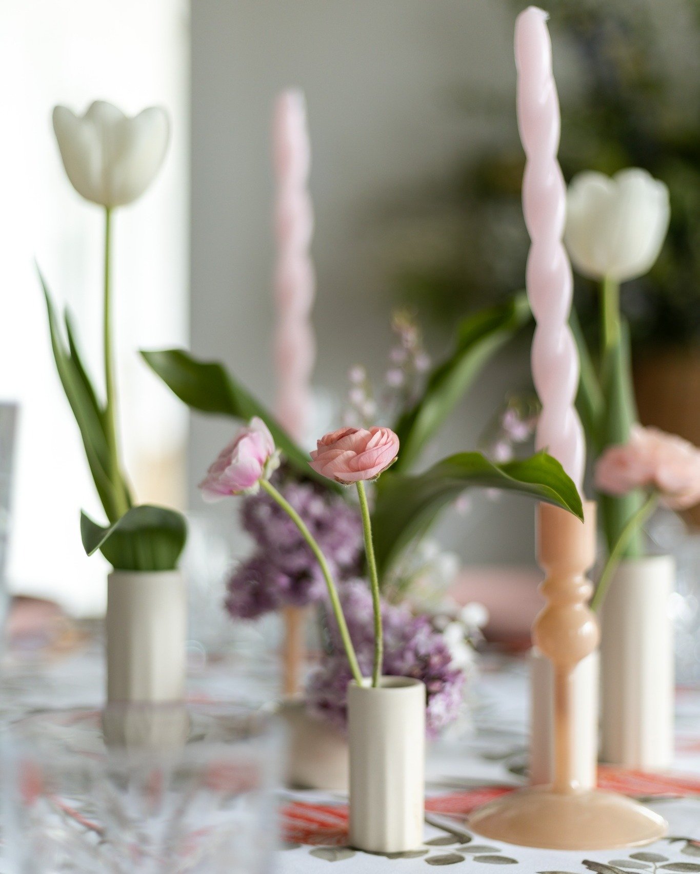 Something exciting is taking shape at The Longhouse 🤍

We&rsquo;re teaming up with @thelonghouse.nz in Karitane to offer full wedding packages, bringing together this beautiful setting with a marquee, planning, styling, bar service and everything yo
