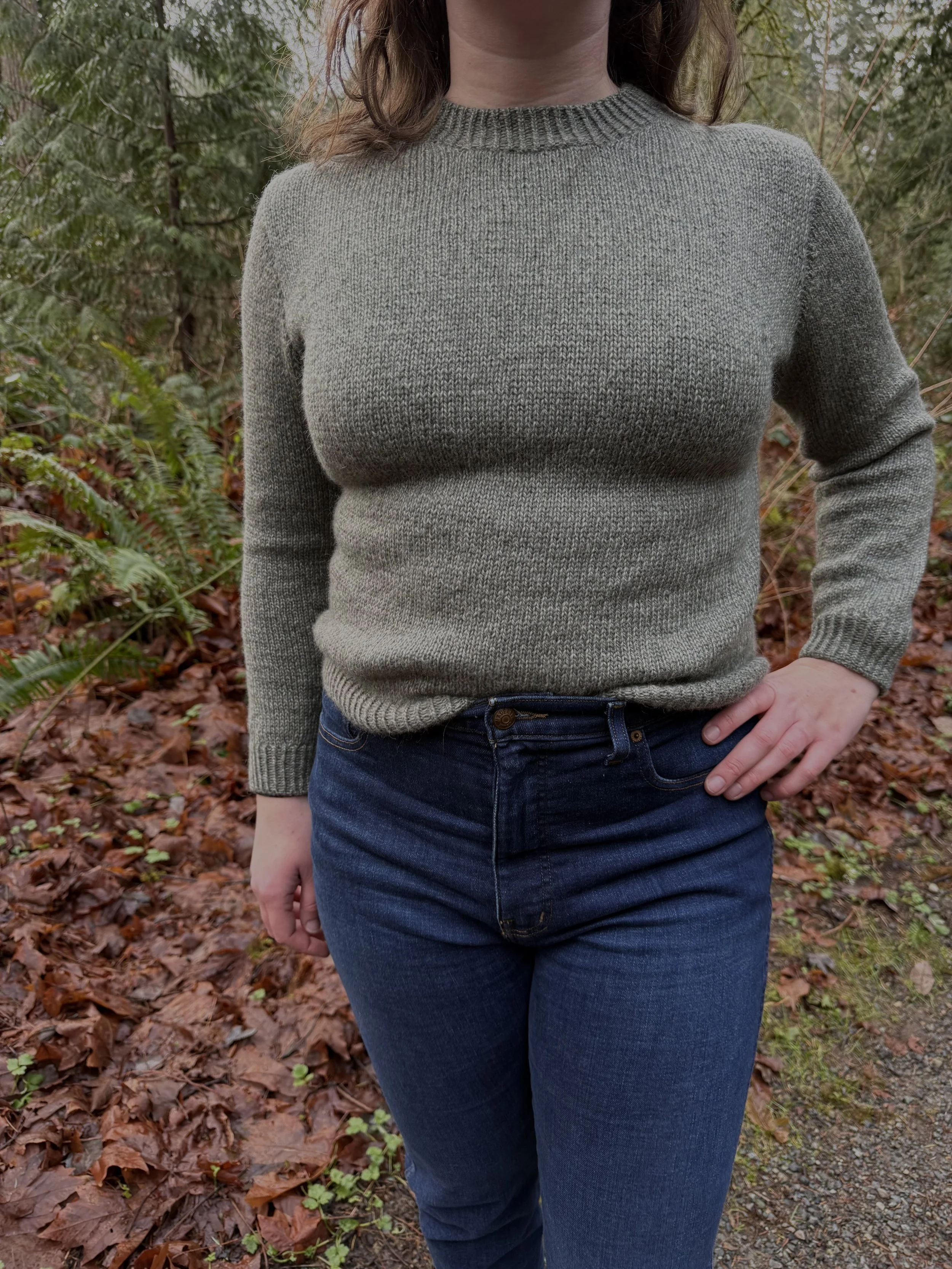 BergamotPullover1 - Helen Foster.jpeg