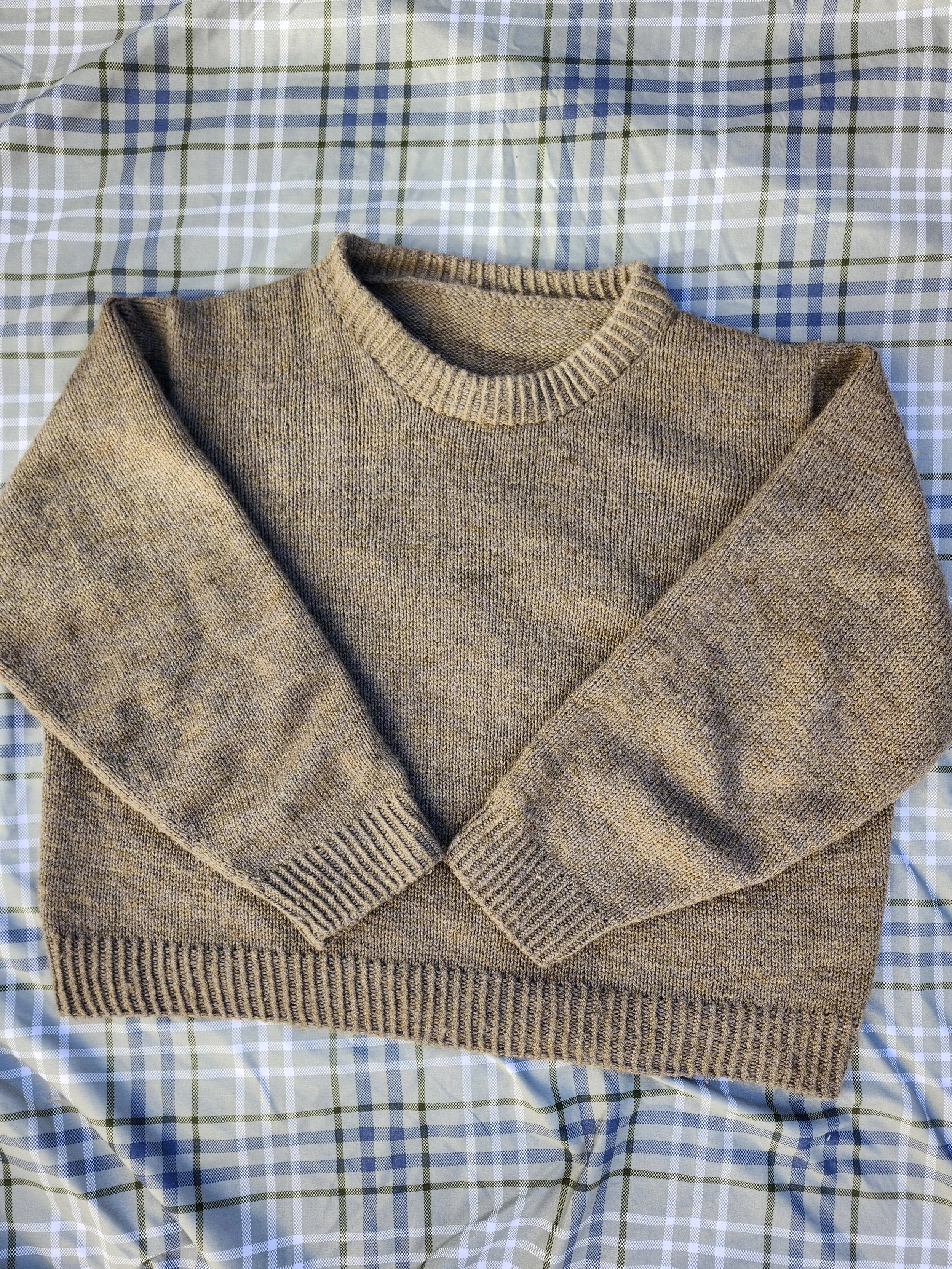 20251229_133504 - Semah Davies.jpg