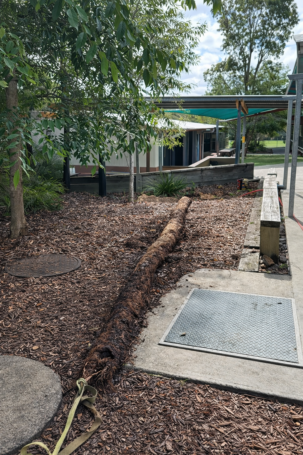 Tree roots from blocked stormwater drain noosa