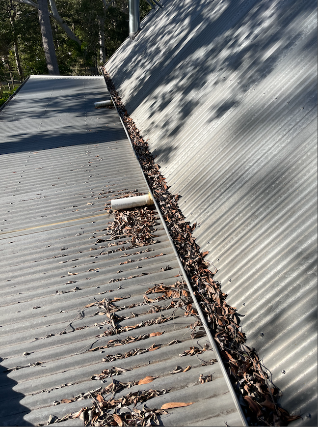 Gutter clean 1/2 - Cooroibah