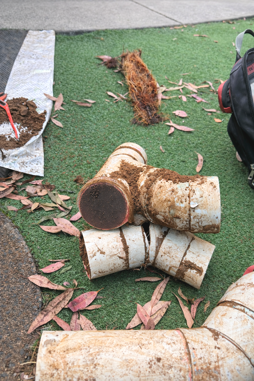 emergency plumber noosa repairing blocked drains noosa