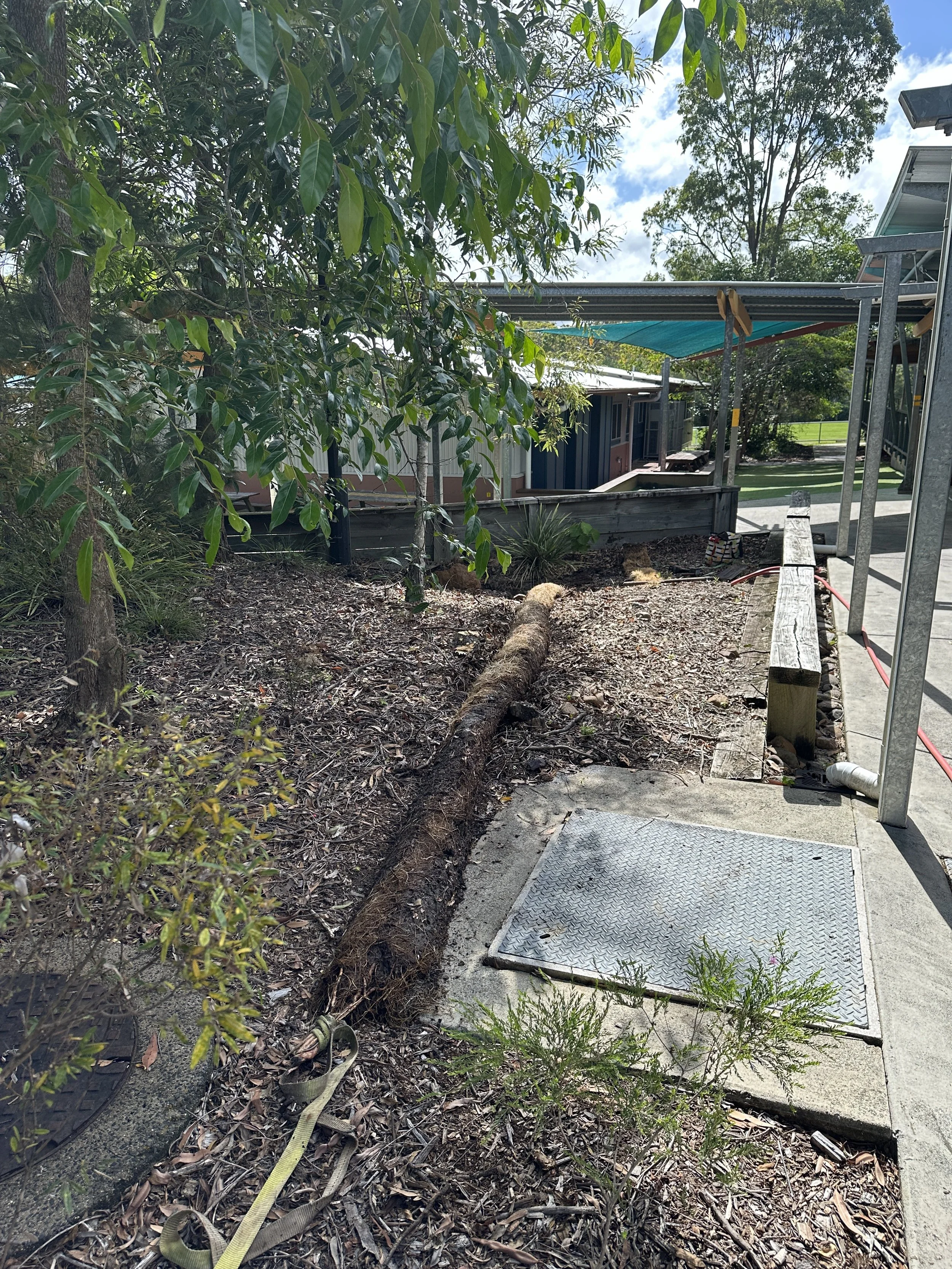HUGE Blocked Drain Tree Root Removal For St Teresas Catholic College
