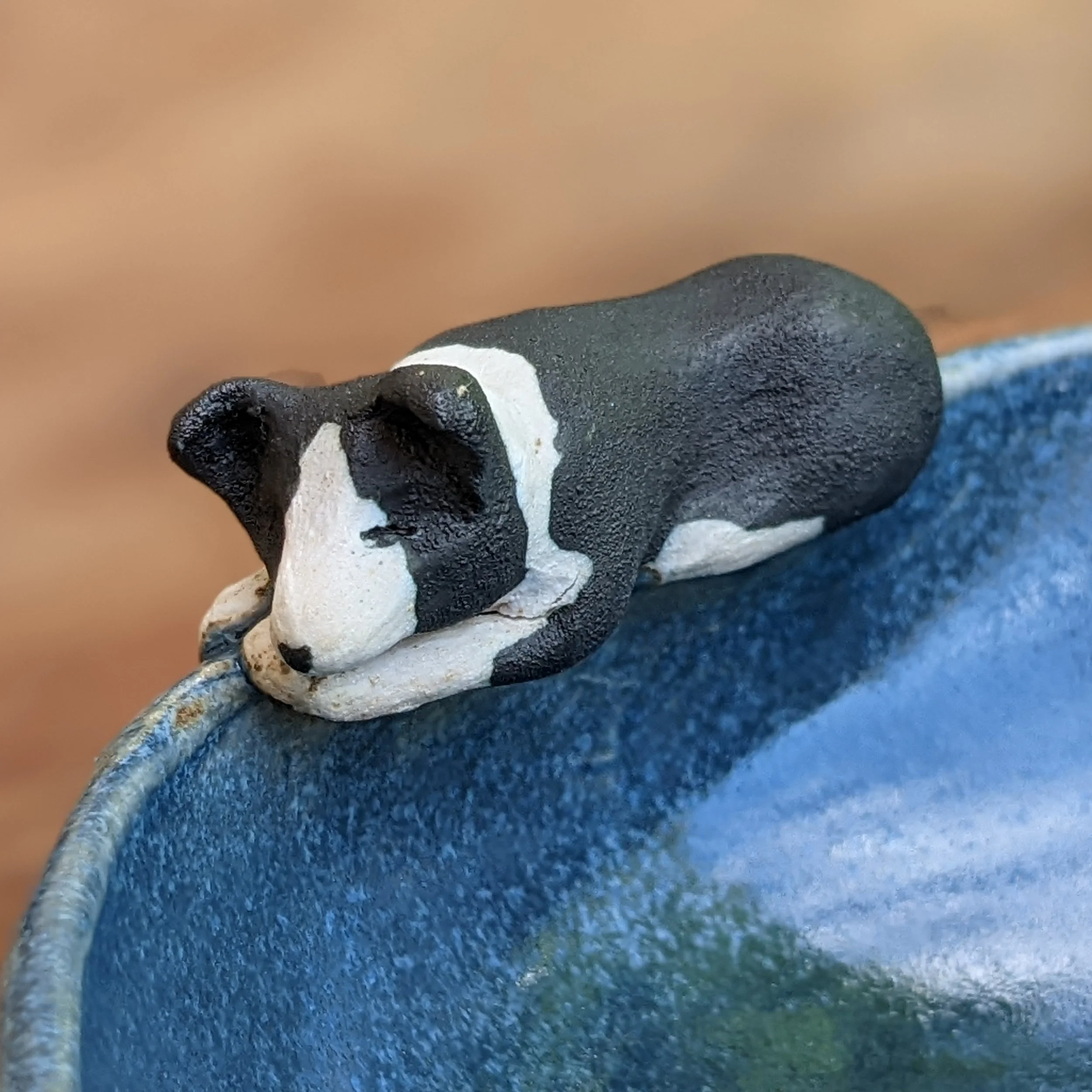 gPXL_20220620_113018944.PORTRAIT copy.jpg