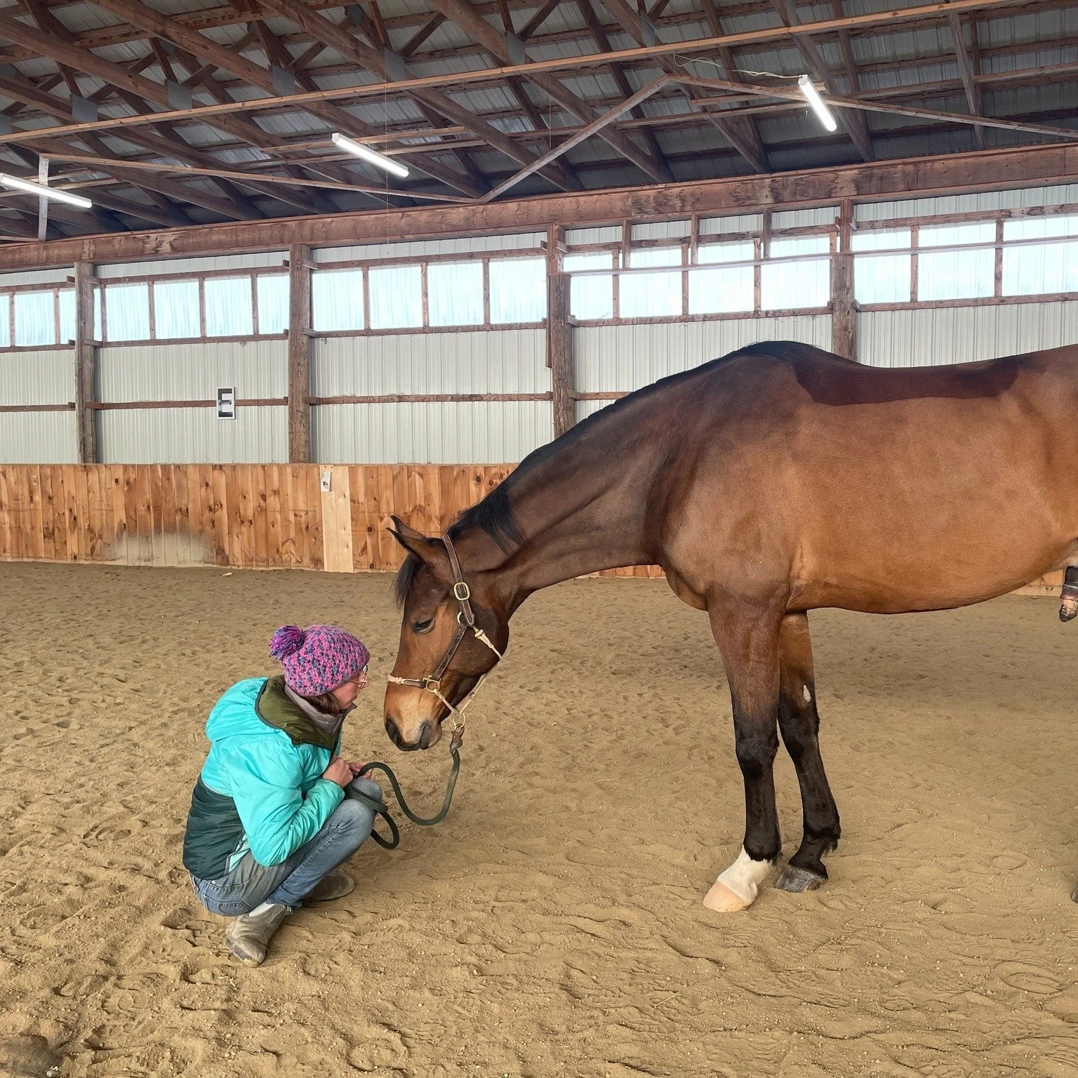 Connection Class: New Schedule!

Come by Friday evening or early Saturday morning for this friendly and informal groundwork group! No experience is necessary, so come by and check it out!

Find it under &quot;Book Now&quot; on our website!