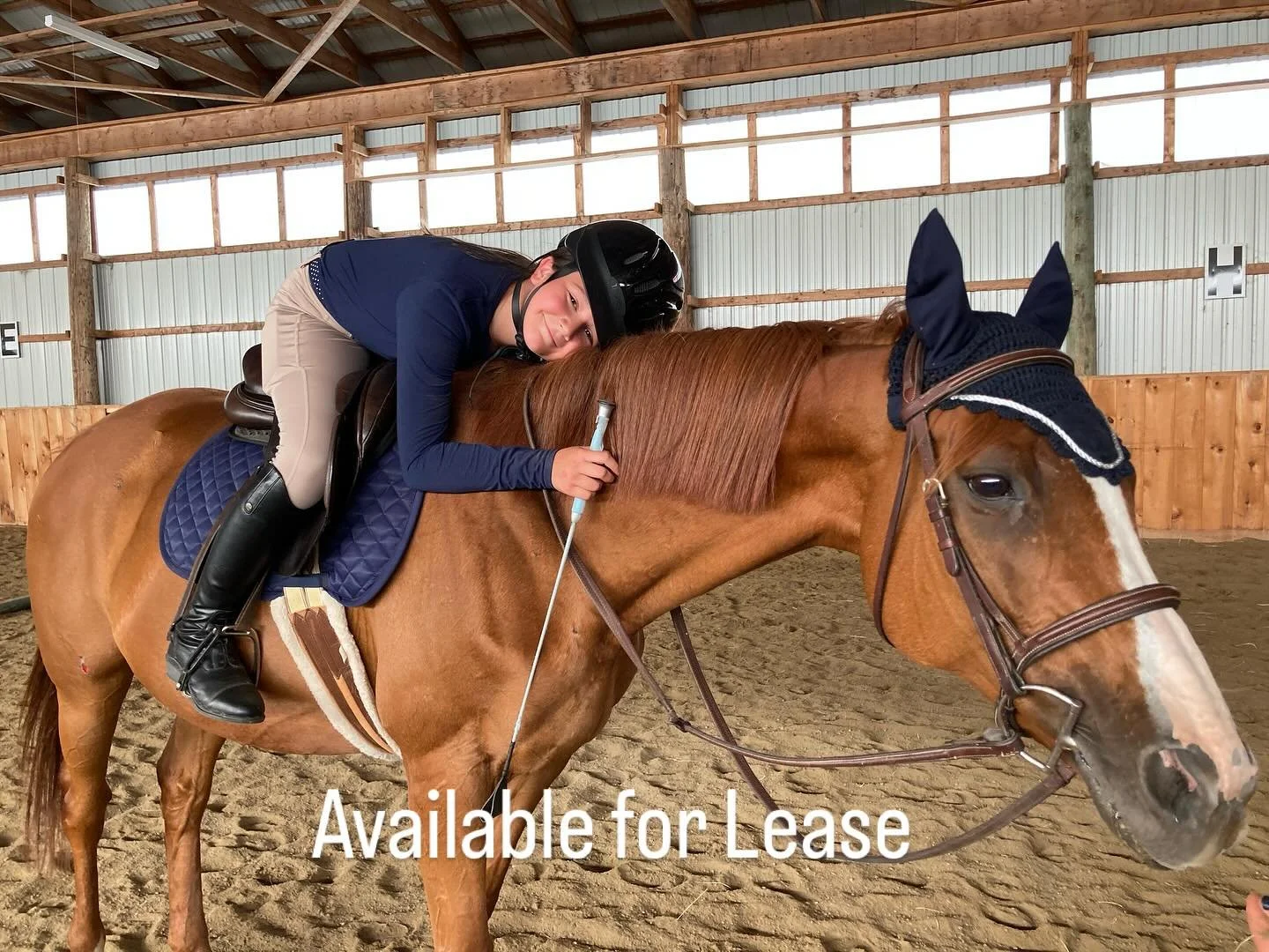 Lily (mid-teens un-raced thoroughbred) has done the lesson horse job, but she&rsquo;d really love to have her own person who mostly wants to hack out! 

Available for on-site lease to a small intermediate/advanced adult rider here in New Gloucester w
