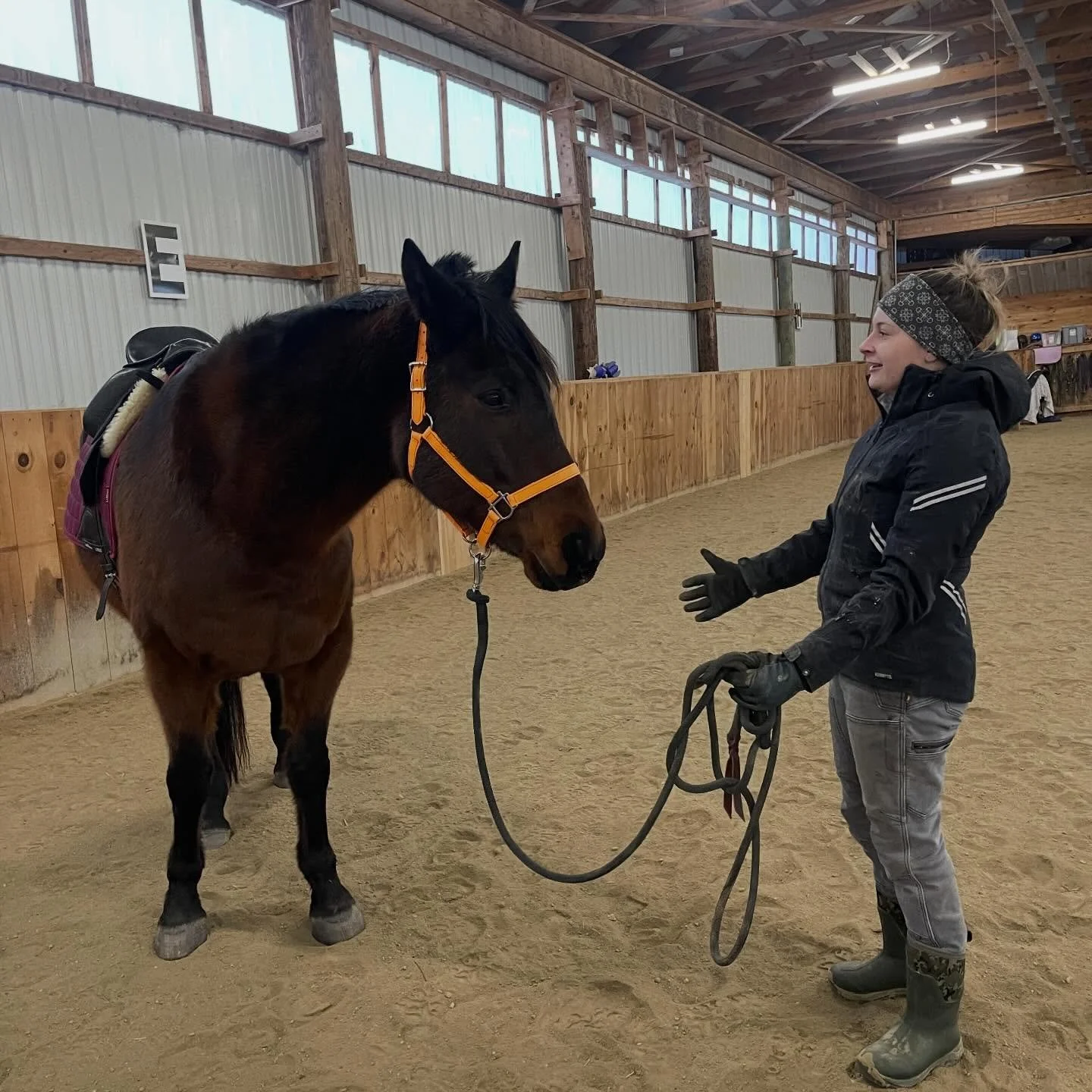 Caption This!

Background Story: 

Raffi joined our herd this winter with BIG EYES 👀 and some BIG FEELINGS 💥

Particularly suspicious: hula hoops + gravity and The Macarena 💃 

Else has been helping him practice regulating his nervous system throu