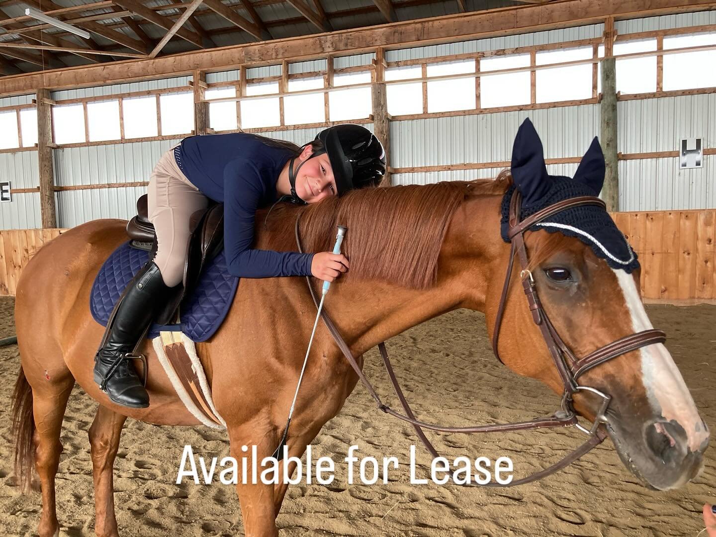 Lily (mid-teens un-raced thoroughbred) has done the lesson horse job, but she&rsquo;d really love to have her own person who mostly wants to hack out! 

Available for on-site lease to a small intermediate/advanced adult rider here in New Gloucester w