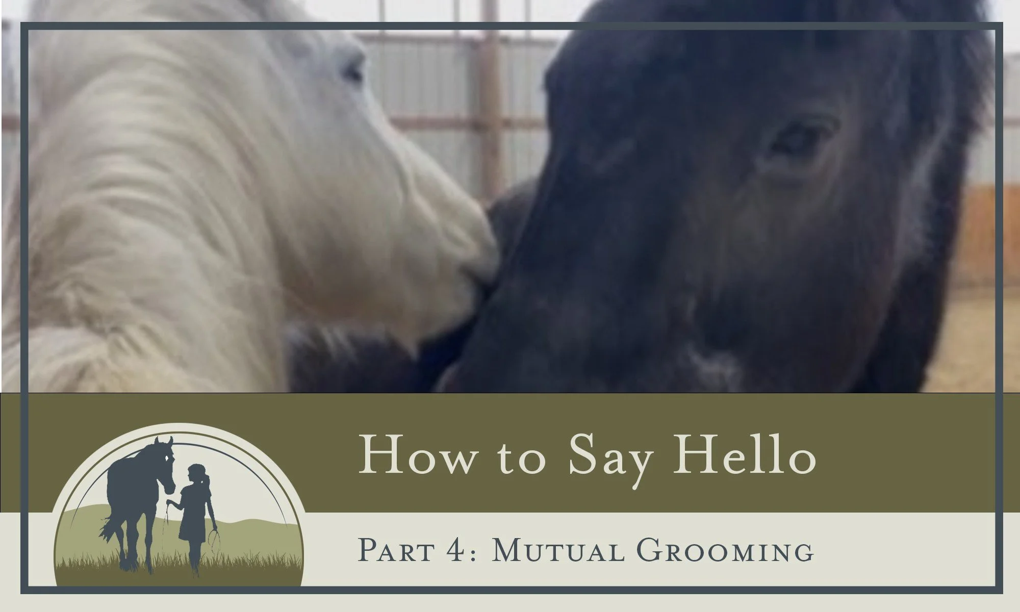 Most horses, with some exceptions, are not physically affectionate in the same way that dogs are. They don&rsquo;t oftenlick each other or seek out constant physical touch.

Instead, horses are comforted by presence, safety, and consistency.

However