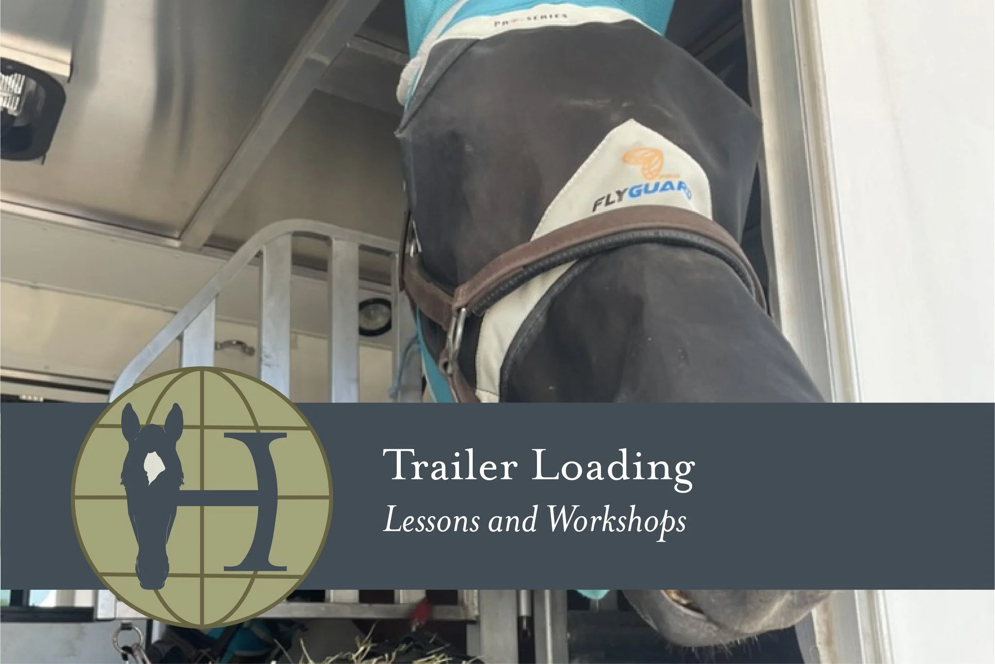 Trailer Loading: I love it!

If you don&rsquo;t, I can help.

I started at 17,
with a gray horse named Caesar,
a rudimentary understanding of clicker training,
a five-pound bag of carrots,
and many, many hours of patience.

Nearly 20 years later, my 