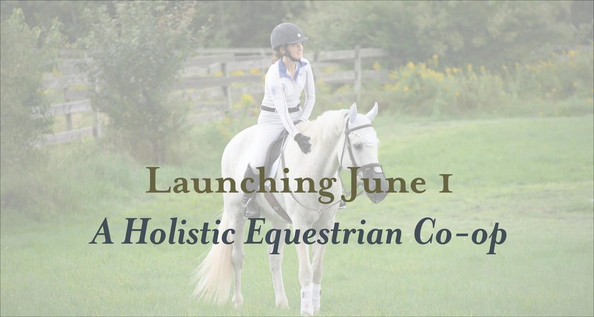 Launching June 1: A Holistic Equestrian Co-op

We are restructuring our core programs to offer:

▪️ higher standards for horse welfare 
▪️ greater access for horse lovers 
▪️ stronger support for horse owners
▪️ deeper understanding for riders 
▪️ br