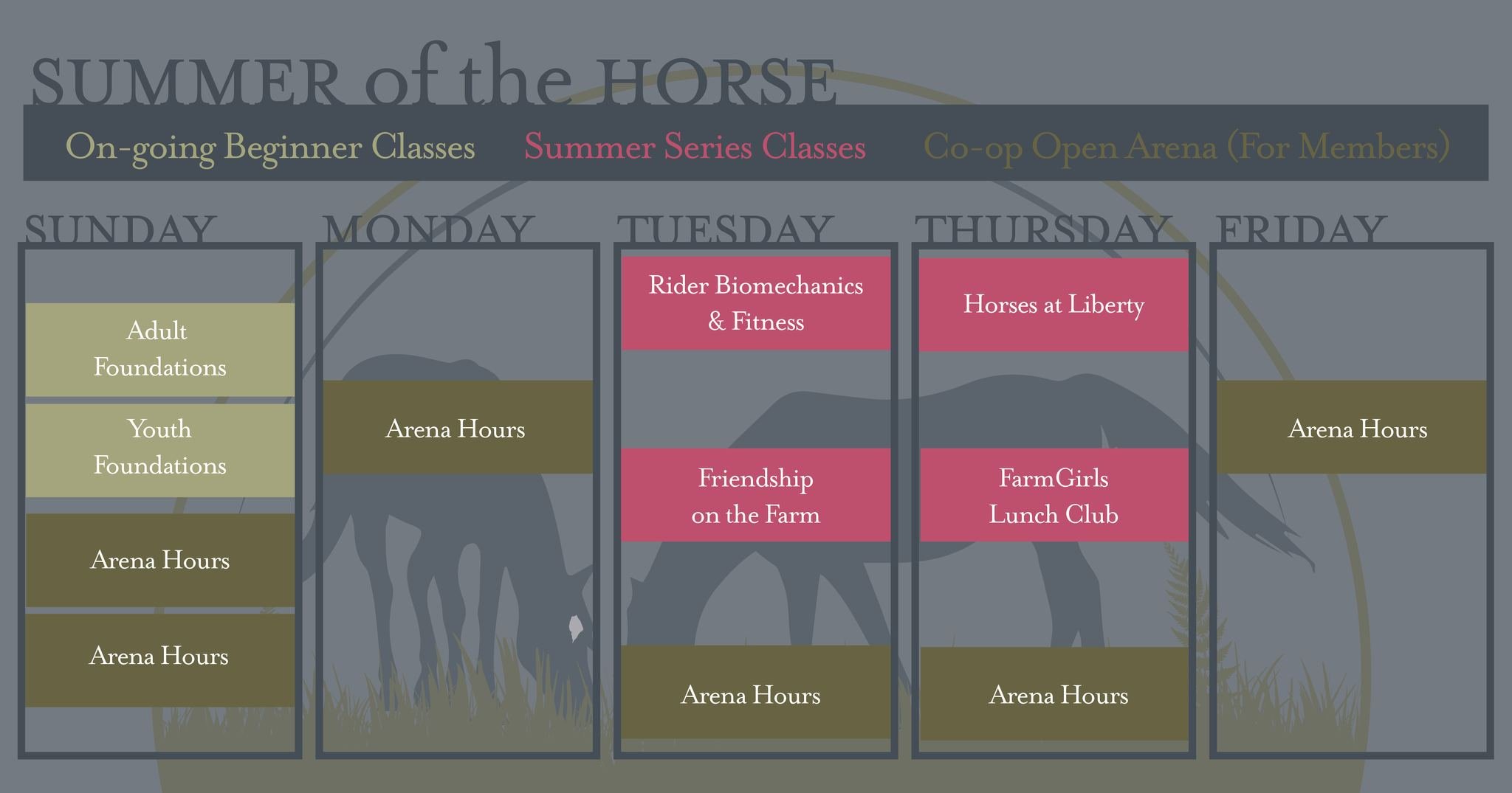Soak in summer on the farm!

If you or your child have always wanted to get close to horses but felt unsure of where to start, our summer schedule is your perfect gateway. We&rsquo;ve designed a calendar with options for everyone:

🐴  Youth beginner