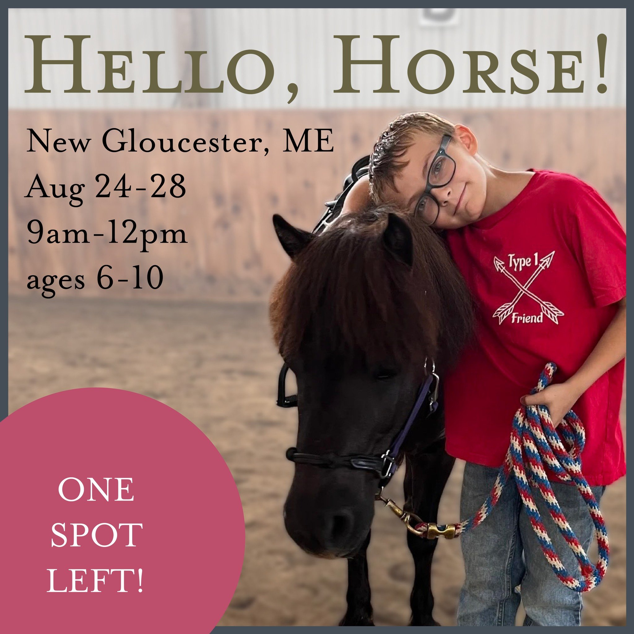 We have room for one more Little Horse Lover!

DM me or find the registration link in our bio!