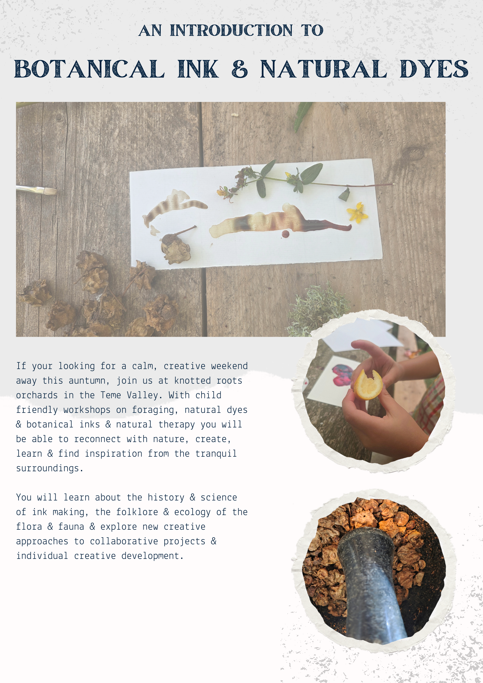 Copy of The Painted Fern Studio_20261016_101343_0000.png (Copy)