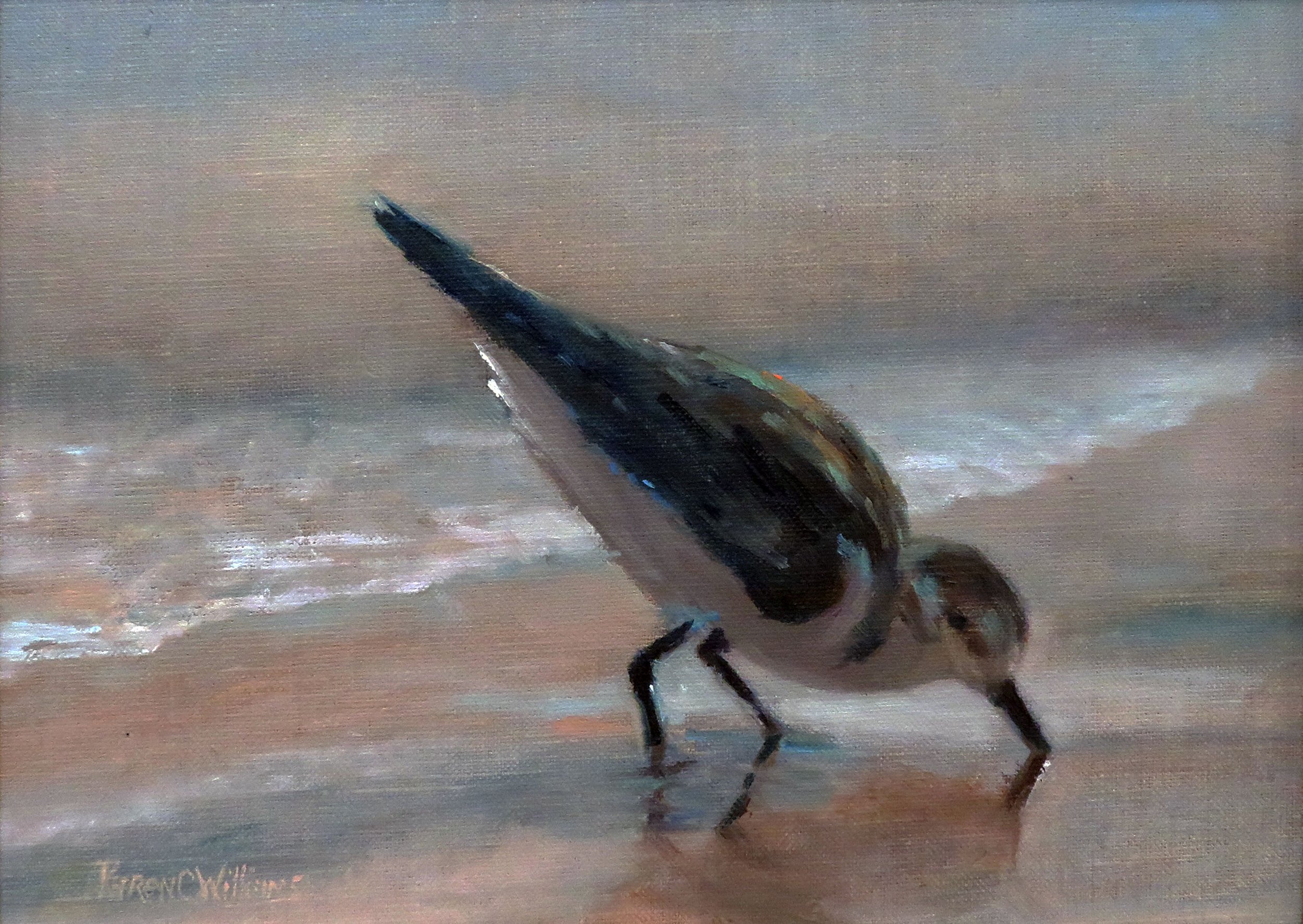 Sandpiper.jpeg