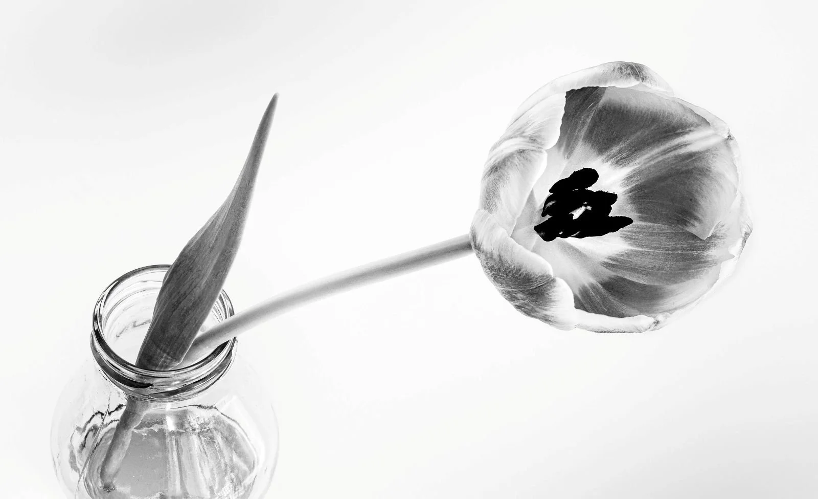 19. Tulip in a Bottle