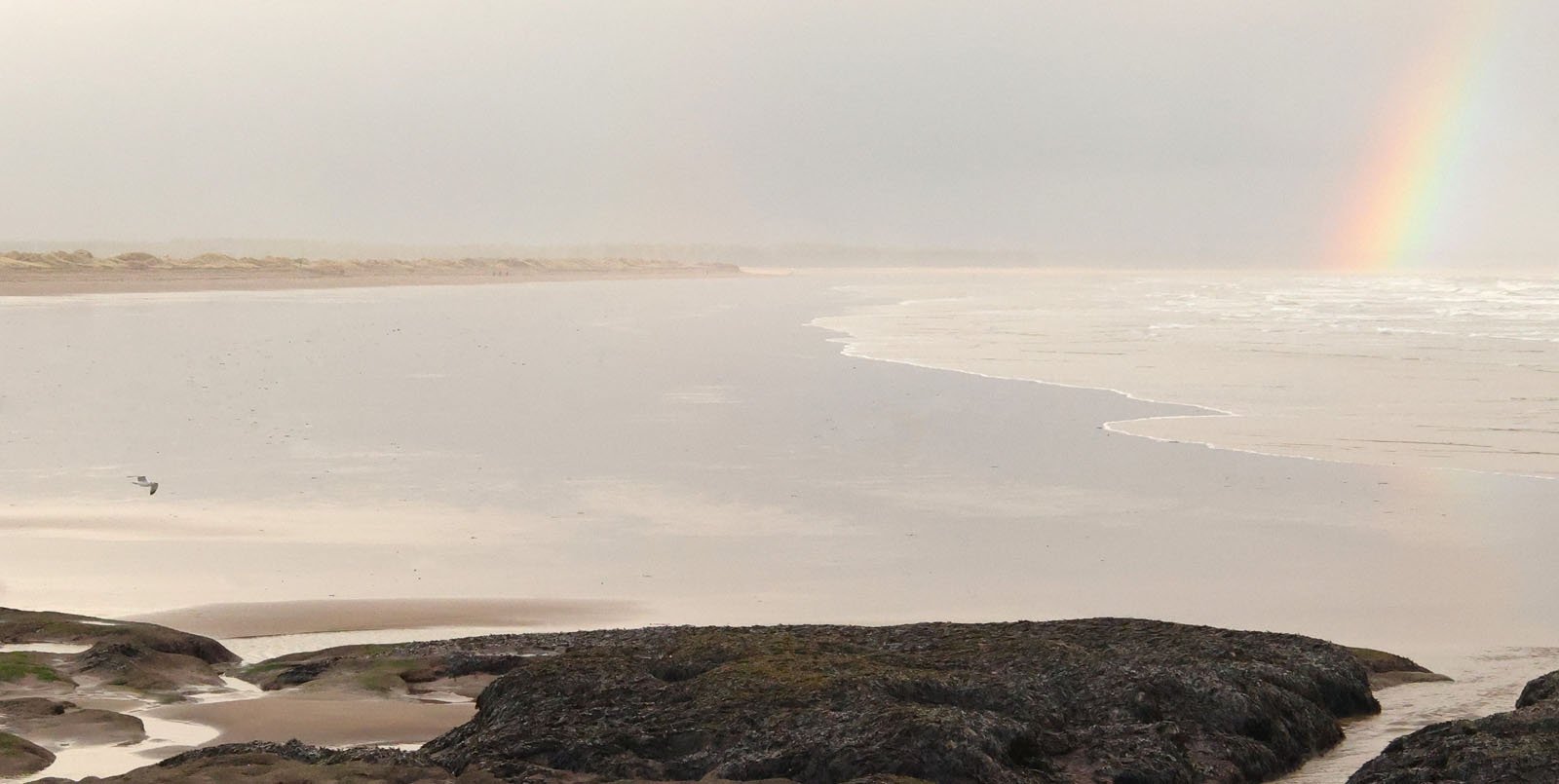 12. A Splash of Colour