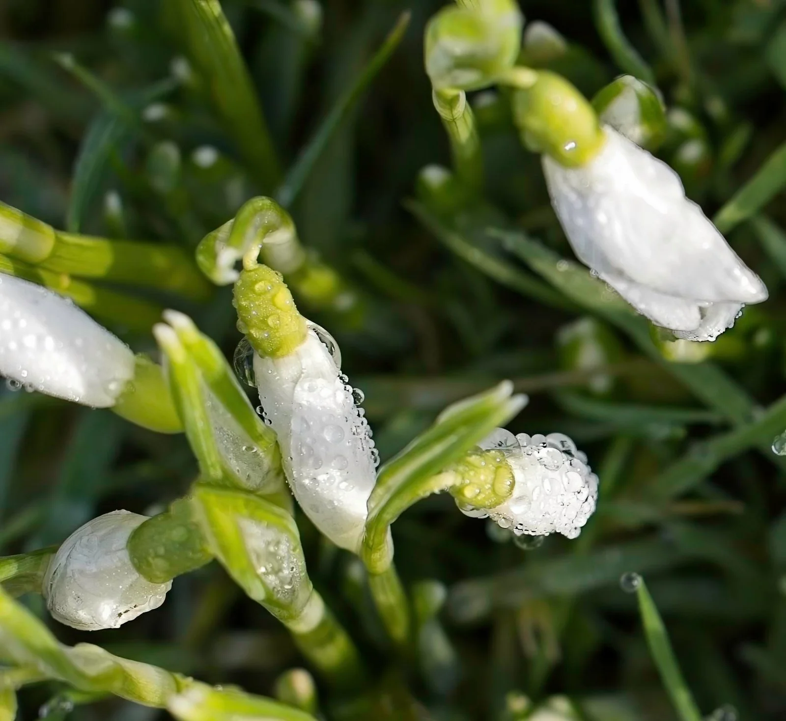 13. Raindrops Keep Falling on the ....